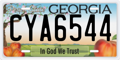 GA license plate CYA6544
