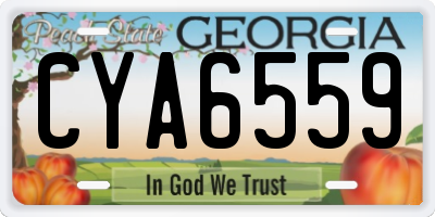 GA license plate CYA6559