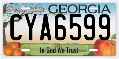 GA license plate CYA6599