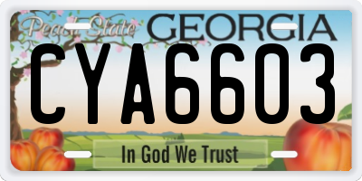 GA license plate CYA6603