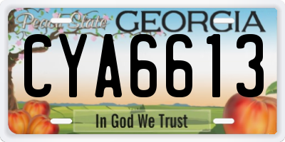 GA license plate CYA6613