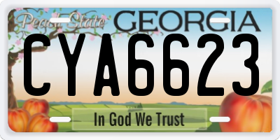 GA license plate CYA6623