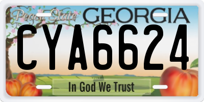 GA license plate CYA6624