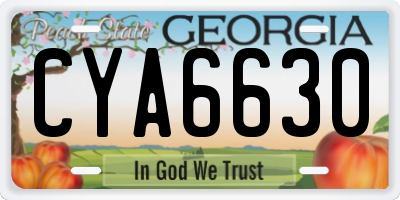 GA license plate CYA6630