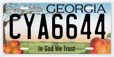 GA license plate CYA6644