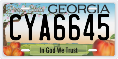 GA license plate CYA6645