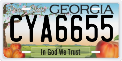 GA license plate CYA6655
