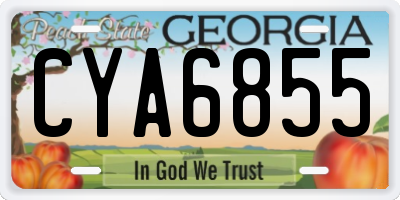 GA license plate CYA6855