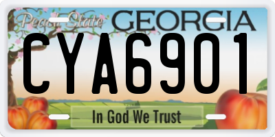 GA license plate CYA6901