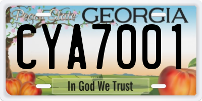 GA license plate CYA7001