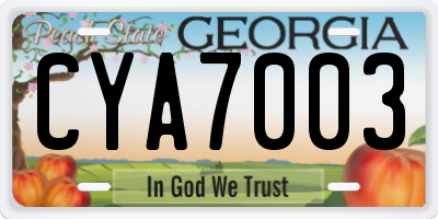GA license plate CYA7003