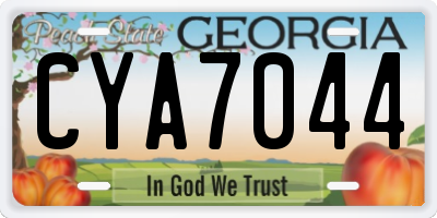 GA license plate CYA7044