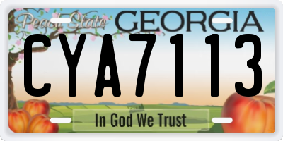 GA license plate CYA7113