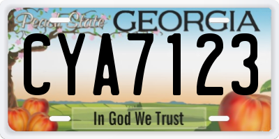 GA license plate CYA7123