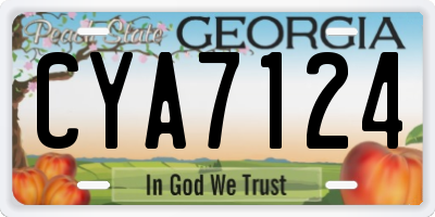 GA license plate CYA7124