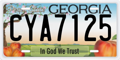 GA license plate CYA7125