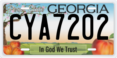 GA license plate CYA7202