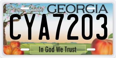 GA license plate CYA7203