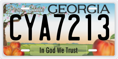GA license plate CYA7213