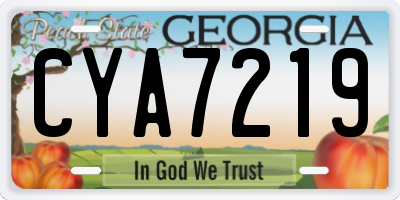 GA license plate CYA7219