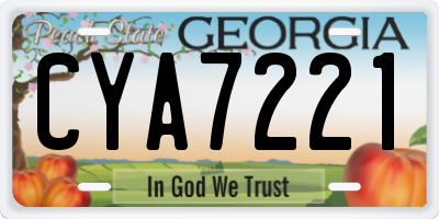 GA license plate CYA7221