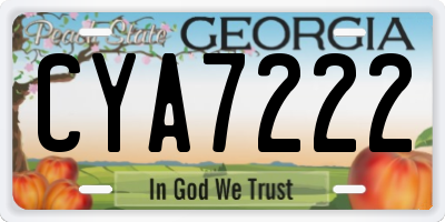 GA license plate CYA7222