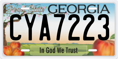 GA license plate CYA7223