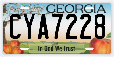 GA license plate CYA7228