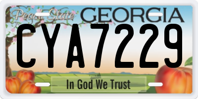 GA license plate CYA7229