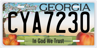 GA license plate CYA7230