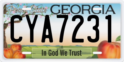 GA license plate CYA7231