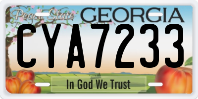 GA license plate CYA7233