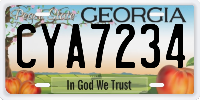 GA license plate CYA7234
