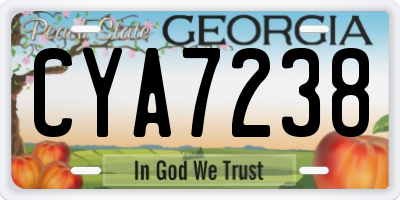 GA license plate CYA7238