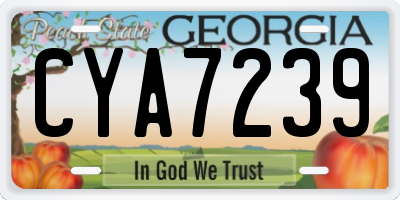 GA license plate CYA7239