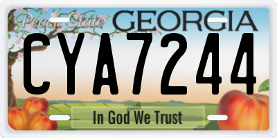 GA license plate CYA7244