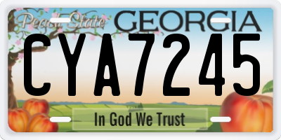 GA license plate CYA7245