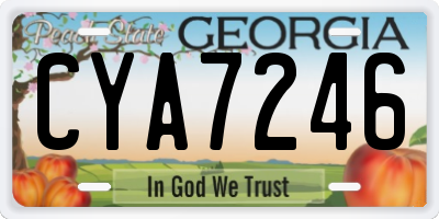 GA license plate CYA7246