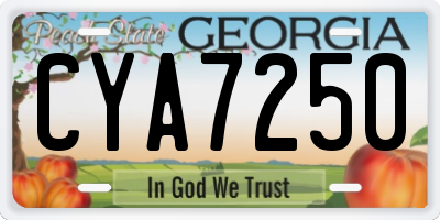 GA license plate CYA7250