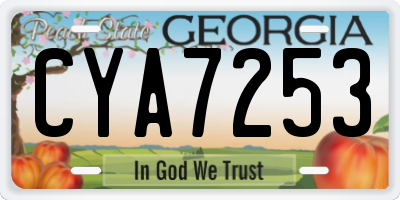 GA license plate CYA7253