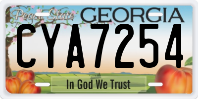 GA license plate CYA7254