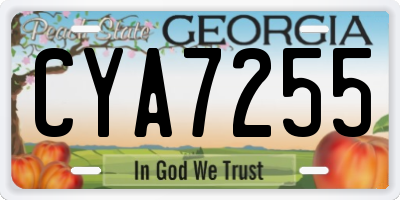 GA license plate CYA7255
