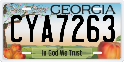 GA license plate CYA7263