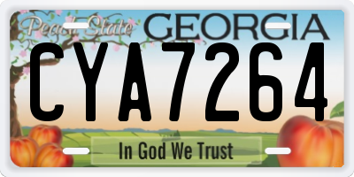 GA license plate CYA7264