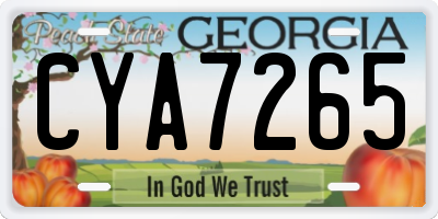 GA license plate CYA7265