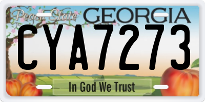 GA license plate CYA7273