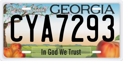 GA license plate CYA7293