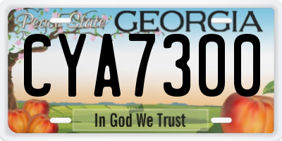 GA license plate CYA7300