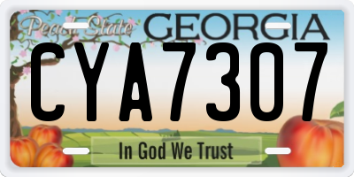 GA license plate CYA7307