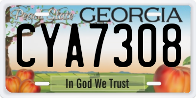 GA license plate CYA7308